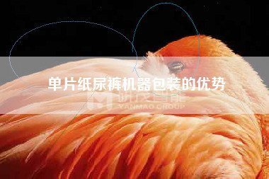 試用裝紙尿褲包裝機，體驗裝紙尿褲包裝機注意事項