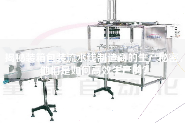 揭秘裝箱包裝流水線(xiàn)制造商的生產(chǎn)秘密，他們是如何高效生產(chǎn)的？