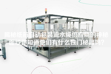 揭秘紙箱自動(dòng)包裝流水線(xiàn)供應商的神秘面紗你知道他們有什么獨門(mén)秘籍嗎？