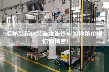 揭秘裝箱包裝流水線(xiàn)供應的神秘價(jià)格，你猜猜看！