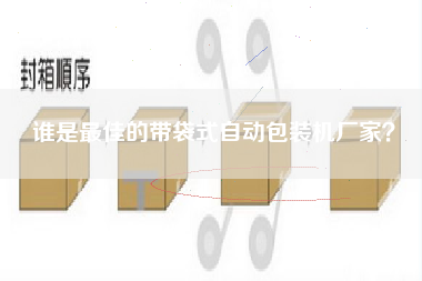 誰(shuí)是最佳的帶袋式自動(dòng)包裝機廠(chǎng)家？