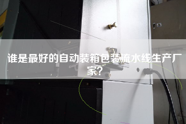 誰(shuí)是最好的自動(dòng)裝箱包裝流水線(xiàn)生產(chǎn)廠(chǎng)家？