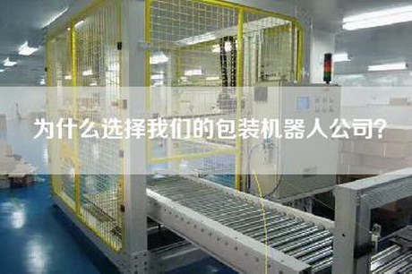 為什么選擇我們的包裝機器人公司？