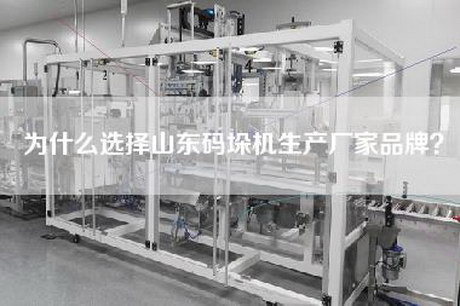 為什么選擇山東碼垛機生產(chǎn)廠(chǎng)家品牌？