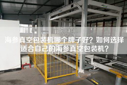 海參真空包裝機哪個(gè)牌子好？如何選擇適合自己的海參真空包裝機？
