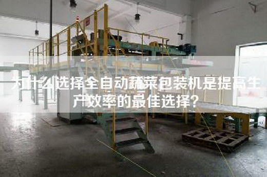 為什么選擇全自動(dòng)蔬菜包裝機是提高生產(chǎn)效率的最佳選擇？