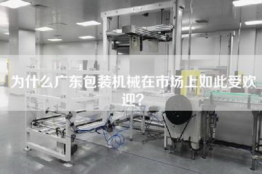 為什么廣東包裝機械在市場(chǎng)上如此受歡迎？