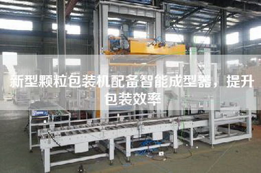 新型顆粒包裝機配備智能成型器，提升包裝效率