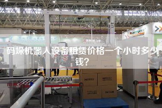碼垛機器人設備租賃價(jià)格一個(gè)小時(shí)多少錢(qián)？