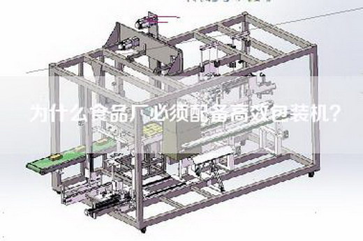 為什么食品廠(chǎng)必須配備高效包裝機？