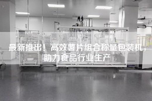 最新推出！高效薯片組合稱(chēng)量包裝機，助力食品行業(yè)生產(chǎn)